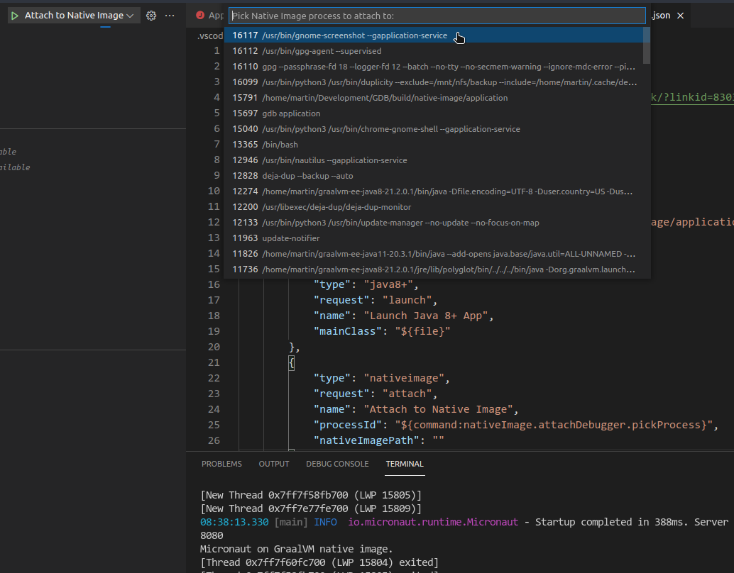 VS Code：原生镜像调试