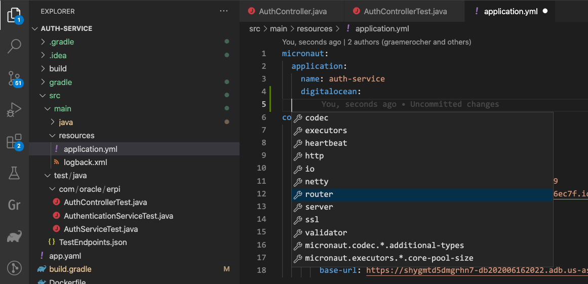 Micronaut extension added YAML support